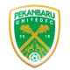 Logo Pekanbaru FC