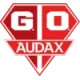 Logo Gremio Osasco Audax Youth