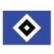 Logo Hamburger SV (Youth)