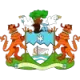 Logo Freetown City
