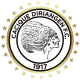 Logo Diriangen