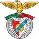 Logo Benfica (w)