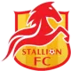Logo Stallions FC