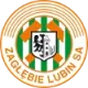 Logo Zaglebie Lubin B