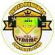 Logo Dedza Dynamos