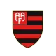 Logo Flamengo-SP (Youth)