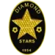 Logo Diamond Stars