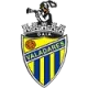 Logo Valadares Gaia FC (w)