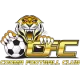 Logo Cooma Tigers